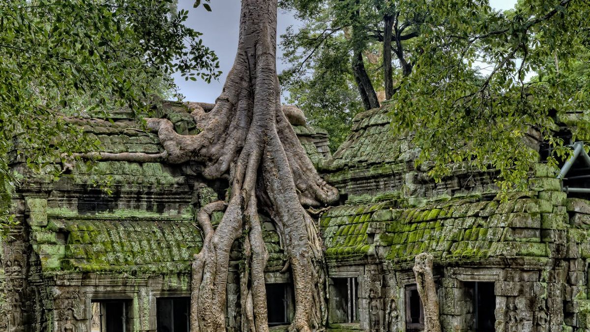 Tender Heritage Cilacap: Apa yang Akan Terjadi di 2026?